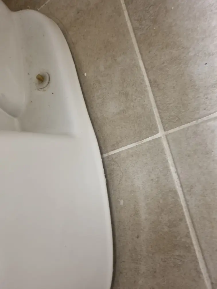 백시멘트 작업 5